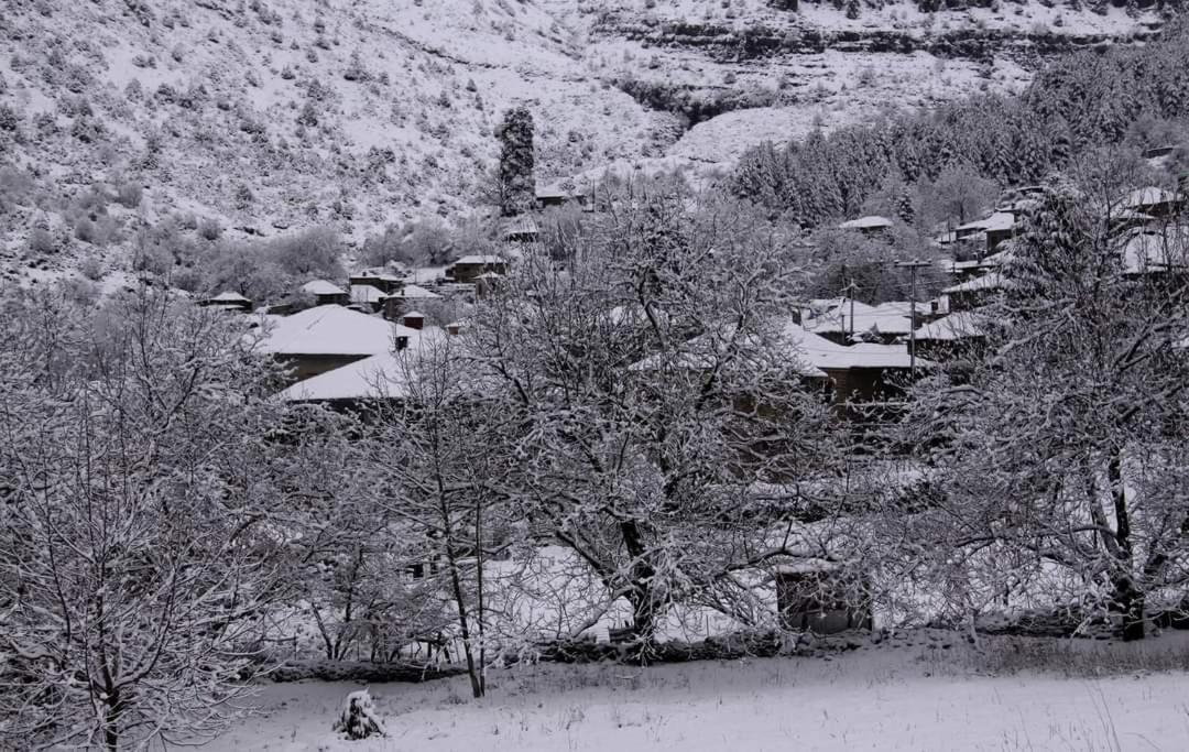 Appartamento Xenonas Zagorisio Tsepelovo Camera foto